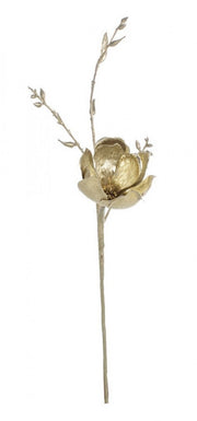 12x Pick Nature Magnolia Leaf Champagner