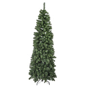 Baummonte -Vektor Schlanker Verde 972 Zweige CMø79H210