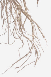 2x Strahlstrahl 180LED CHA Classic C-Gl IP20