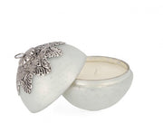 4x Ca-VT Bia C-Box D125 Faszinierte Candela