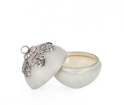 4x Candela faszinieren C-VT BIA C-Box D100