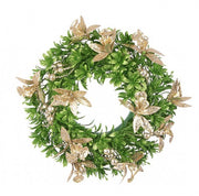 8x Corona Bethany Champagner D30