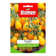 Tomatensamen Birne gelb im Umschlag