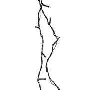 Grüne Fadenlicht 80 LED 5 mm weiß heißer Narren CM0.5xH750x1