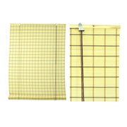 Rottan Beige Rottan Rottan Walnut Rota 200x300 cm