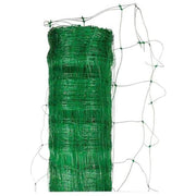 Rampicant Network 2x5 m