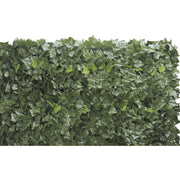 Al Evergreen Doppelblätter EDERA