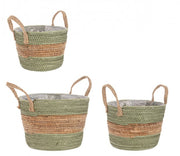 4x set3 cesta 2m alyce zu grünnatural