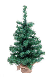 6x Innsbruck H60 Baum