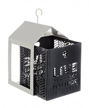 4x SET2 LANTERNA GRAY-GRAY-Harmonie