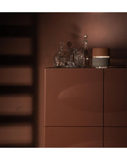 STS Pink- und Grauhydra -Tischlampe