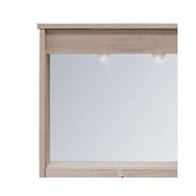 Moderne Einrichtung mobiler Spiegel 1 Tür mit OLM Limelight H.61x73x14
