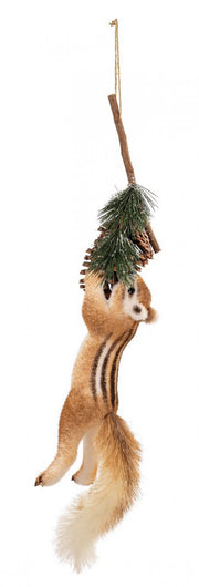 2x Alvin sciorgtto cudaglio c