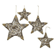 Stella traf Marrone D25 - hell und raffiniert