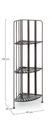 3p Ray Marrone Angol