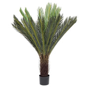 Pflanze mit Palmcycas -Vase 28 Blätter 120 Stunden cm