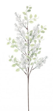 12x Branch Jillie White Beeren C.