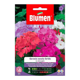 Hybrrides Zonale Geraniumsamen im Beutel