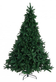 Nielsen H240-1896Rami Tree