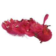 Pavonrote Federn mit Clip CM30x5H11