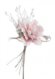 12x Pink Ahura Rosa C.