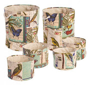 2x set6 p. Objekt botanisch bis blau