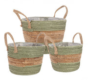 4x set3 cesta 2m alyce zu grünnatural