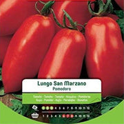 Lange Tomatensamen San Marzano im Umschlag