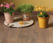 Handgezeichnete Terrakotta -Pflanzer