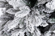 H270-3764Rami Frejus Tree