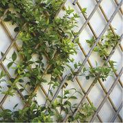Extendable Trellis Bambus 90x180