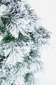 6x Corona Cermis blasen D60