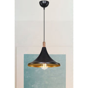 Kano Nero Gold Suspension Lampe ASZ1564