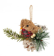 12x Scot Peak Brown C Bird