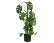 Monstera -Pflanze in Polyester mit Vase 31x20x63,5H cm