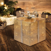 VPM Champ -Geschenkpack. 3aa 20x20xh25cm Weihnachtslichter