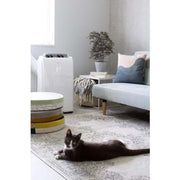 Portable p522 mit Klimaanlagen portierbar