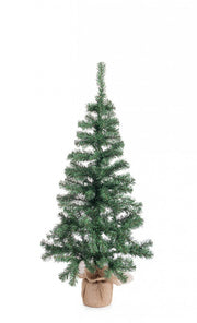 2x Baum Cerano H130-173RAMS