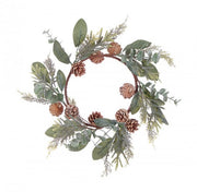 4x Corona Fernie Verde C.