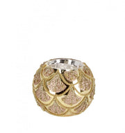 12x P. Candela VT Winslows Gold D80