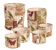 2x set6 p. Objekt botanisch zu rot