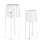 Set2 p.fiore ester zu weiß