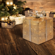 VPM Champ -Geschenkpack. 3aa 20x20xh25cm Weihnachtslichter