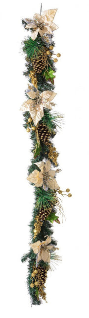 4x Boa Kyle Poorinthian Champagner H180