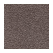 Heben Lift Person Sessel 2 Elefantengraue Motoren