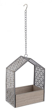 4x Lantern C-Ganglica Kyra Casetta