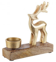 8x P. Candela 1p Gillian Renna Nat