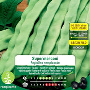 Supermarconi -Klettern in Fagiolin -Samen in Maxi -Umschlag