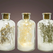 Transparenter Glashalter 16x10 cm