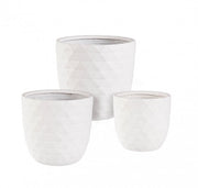 Set3 p.vaso pyramid bomb White